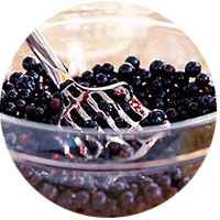 Blackcurrants